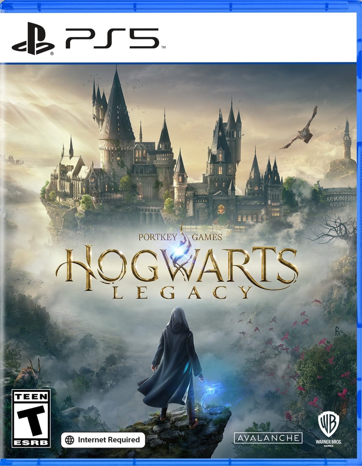 Hogwarts Legacy Ps5